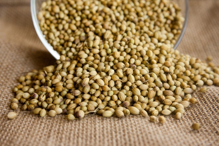 கொத்தமல்லி
