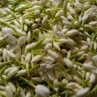 காக்காட உதிரிப்பூ