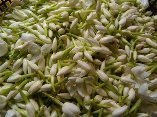 காக்காட உதிரிப்பூ
