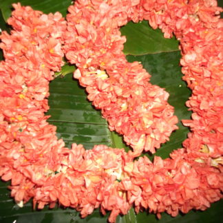 கனகாம்பரம் பூ