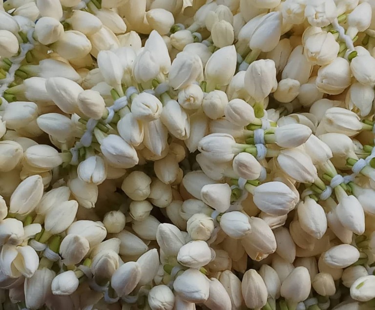 மல்லிகை பூ