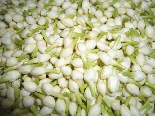 மல்லிகை உதிரி
